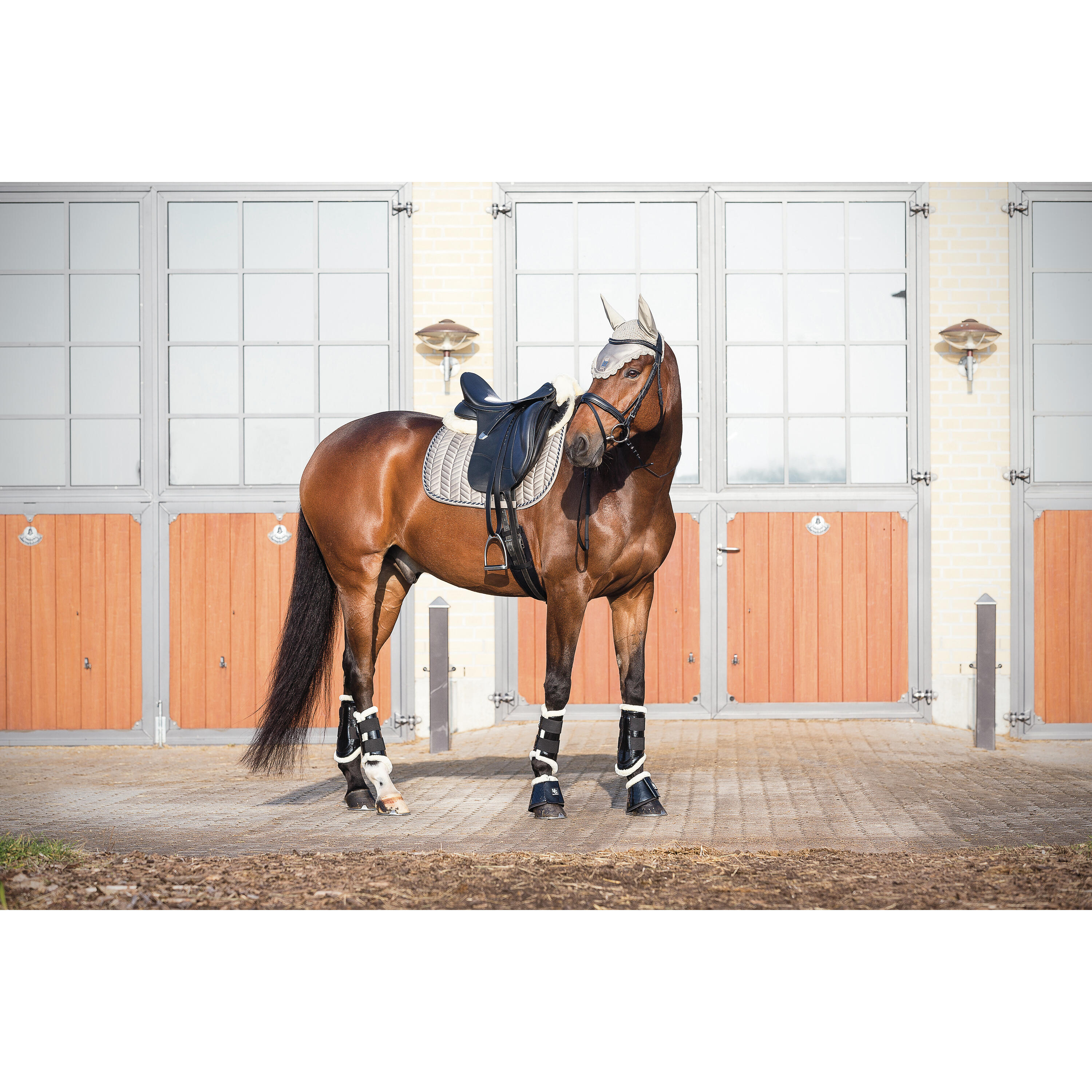Salvacruz para caballo HorseGuard MediLamb 2/3