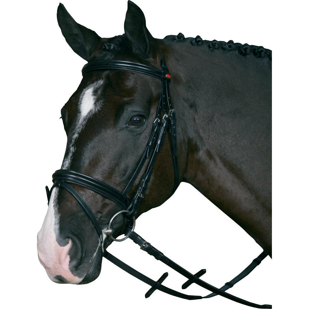 HORSE GUARD picture