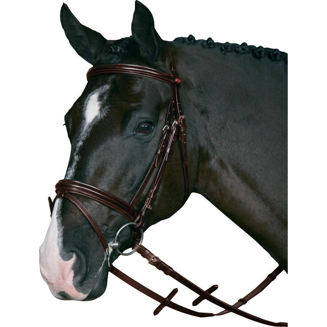 Bridons équitation avec supergrip HorseGuard 1/1