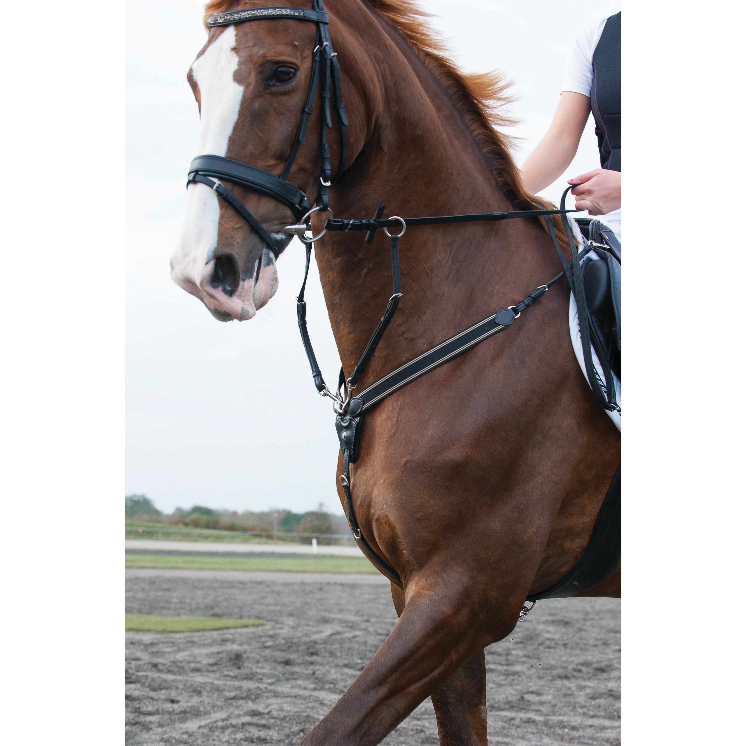 Martingale pour cheval Catago 2/2