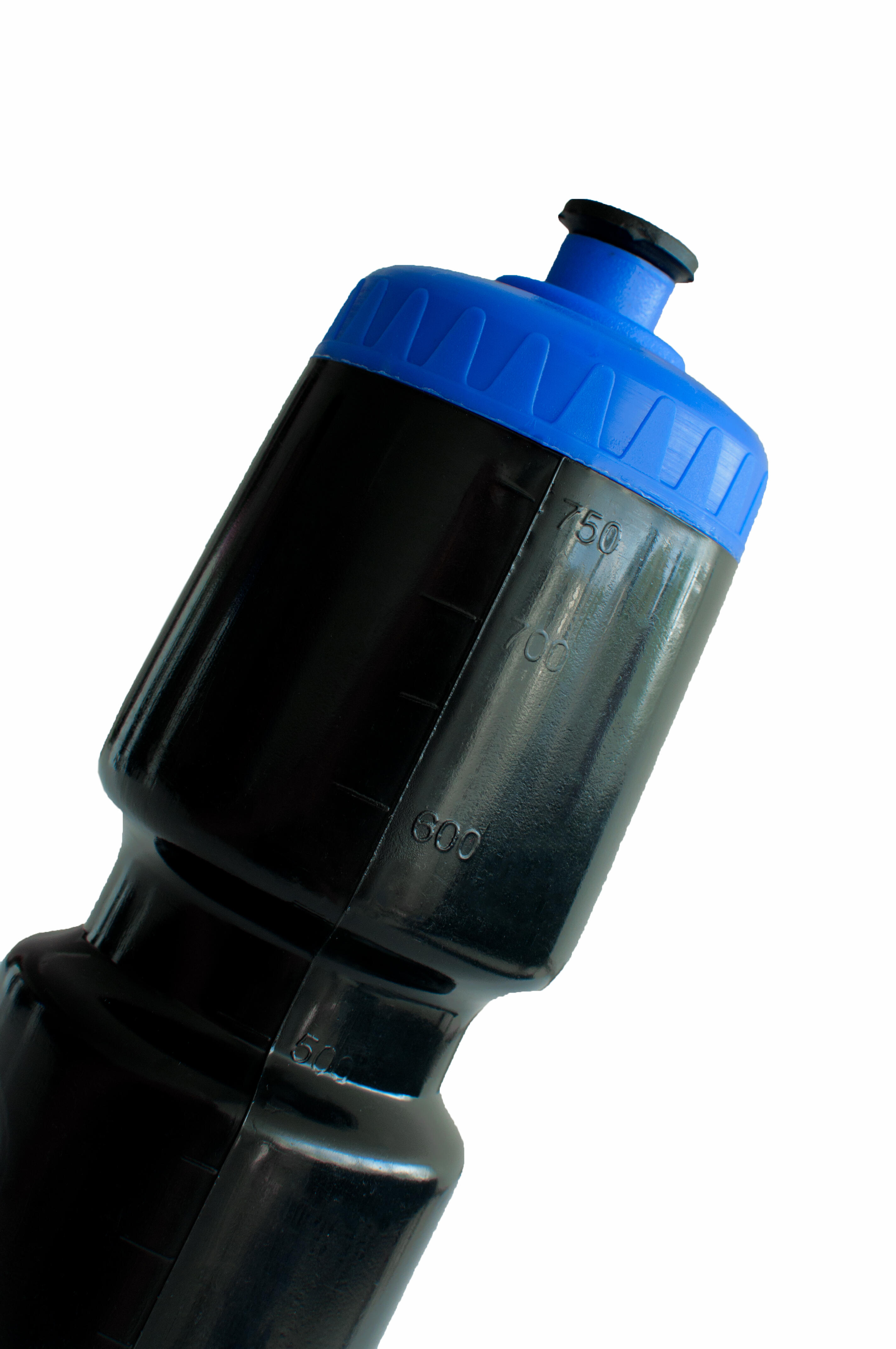 Lotto di 5 zucche - Noir/Bleu 2/3