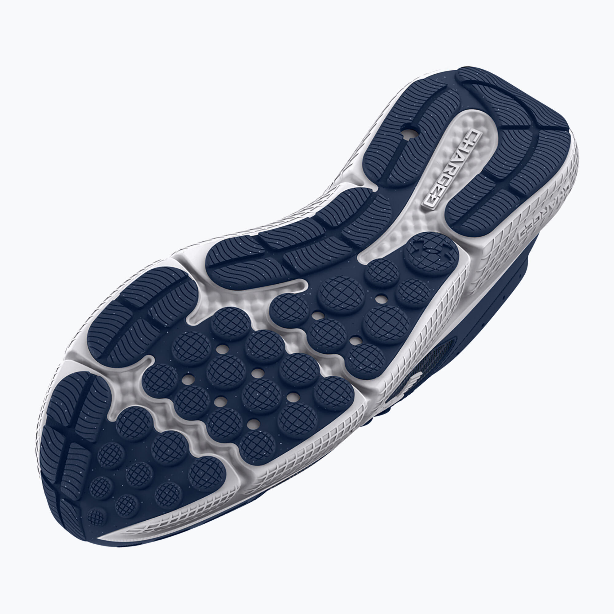 Chaussures de course pour hommes Charged Assert 10 Under Armour 5/5