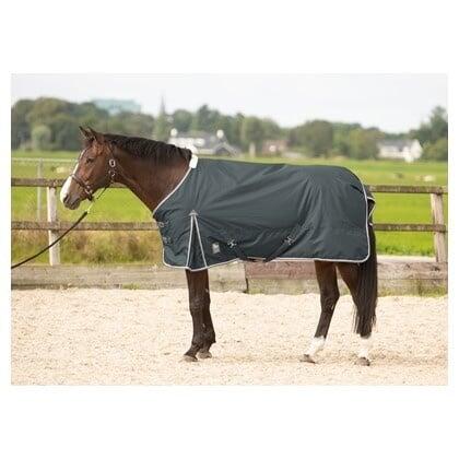 Coperta da esterno per cavalli Harry's Horse Thor 100 gr