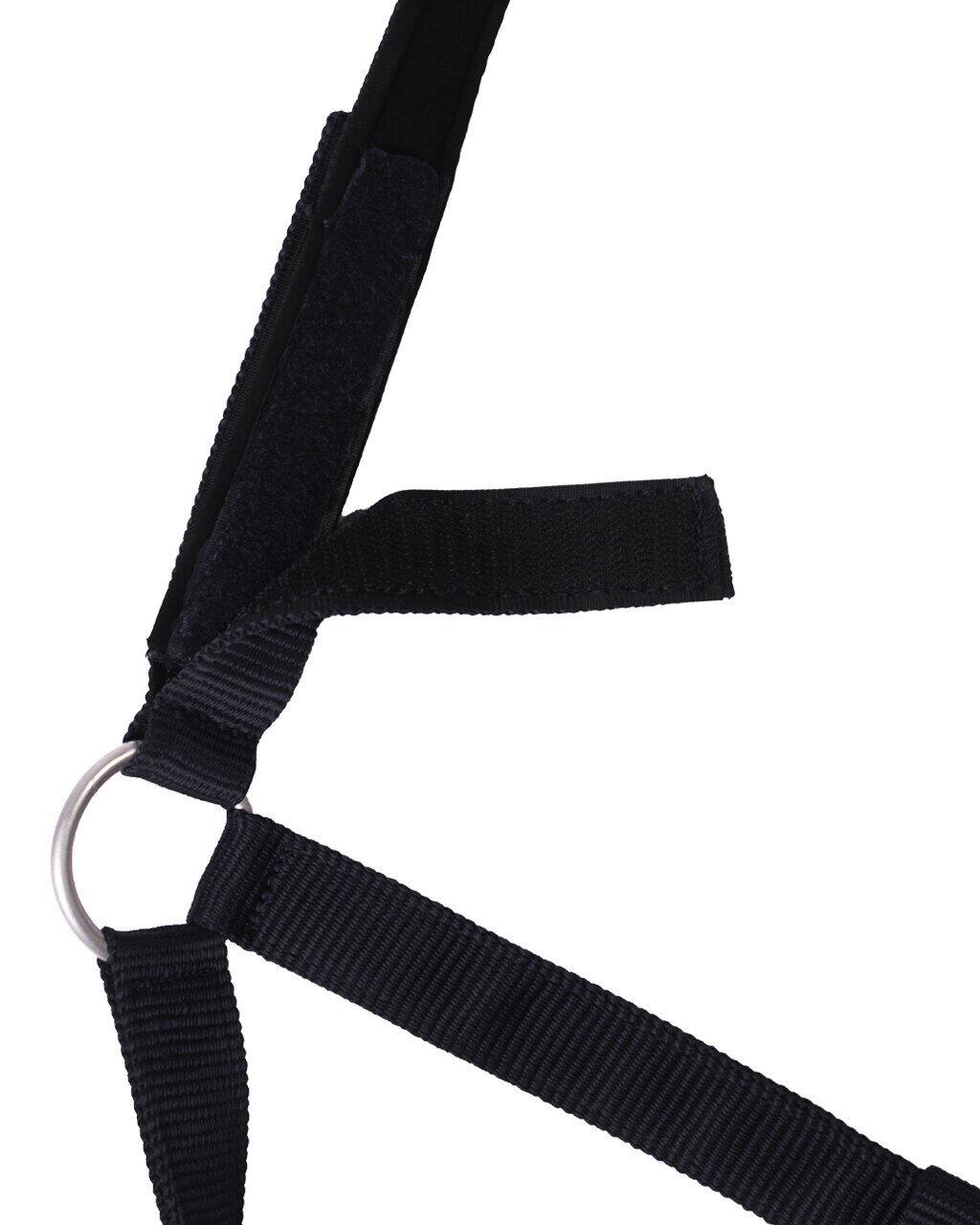 QHP Veiligheidshalster - Blauw (Pony) 2/3