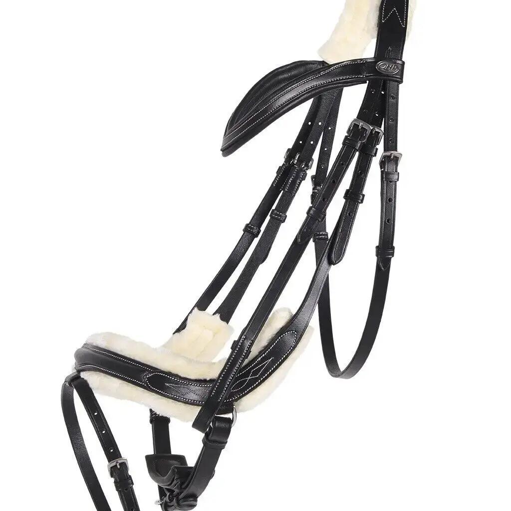 Riding bridle QHP Ontario