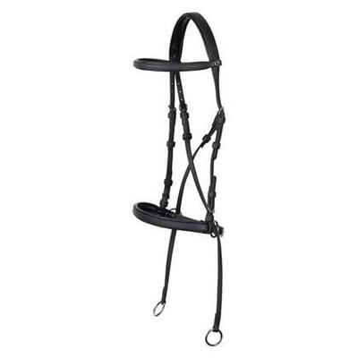 Gebissloser Trensenzaum Harry's Horse Easy Care