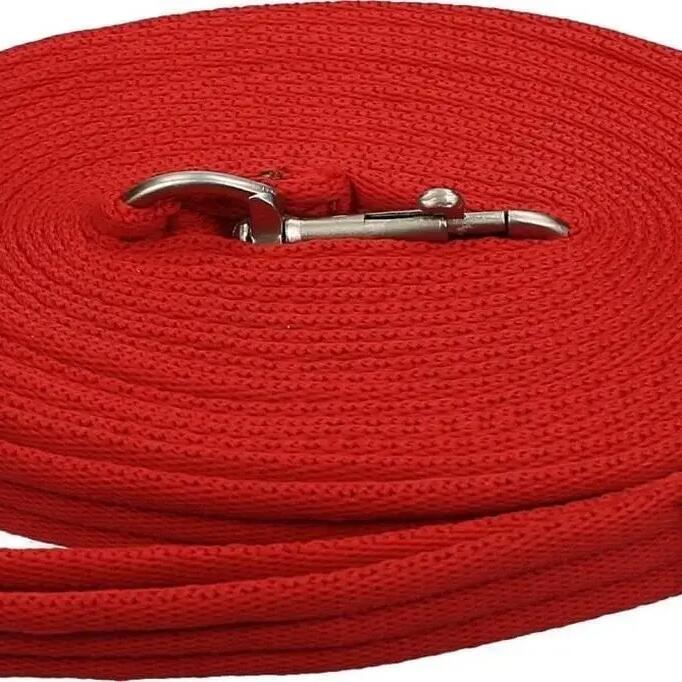 Working lanyard for horses QHP 8m