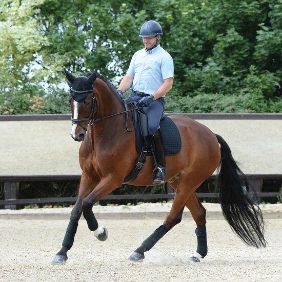 Weatherbeeta Zadeldekje Prime Zwart - Pony Dressuur 2/3
