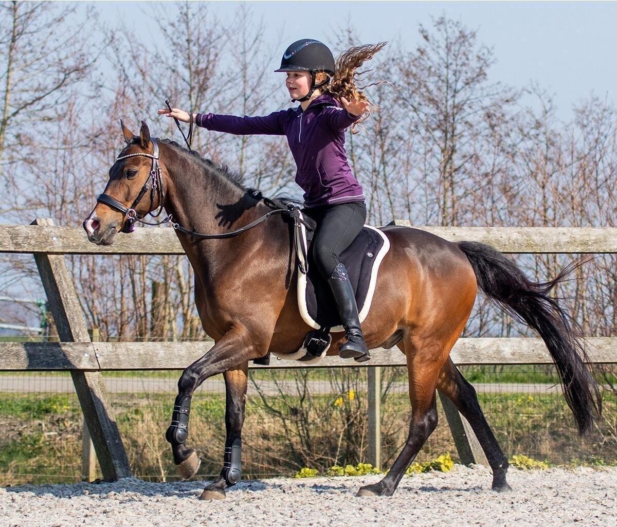 QHP Bareback Pad - Zwart (Pony) (Pony) 2/3