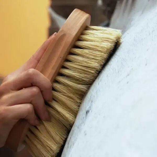 Multifunction brush Imperial Riding