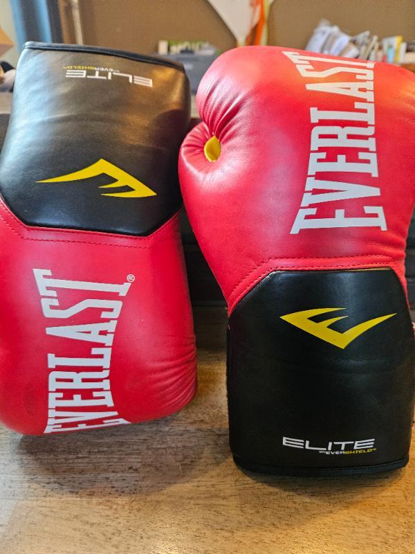 EVERLAST picture