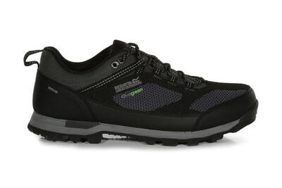 Wasserdichte Herren-Trekkingstiefel Regatta Blackthorn Evo Low