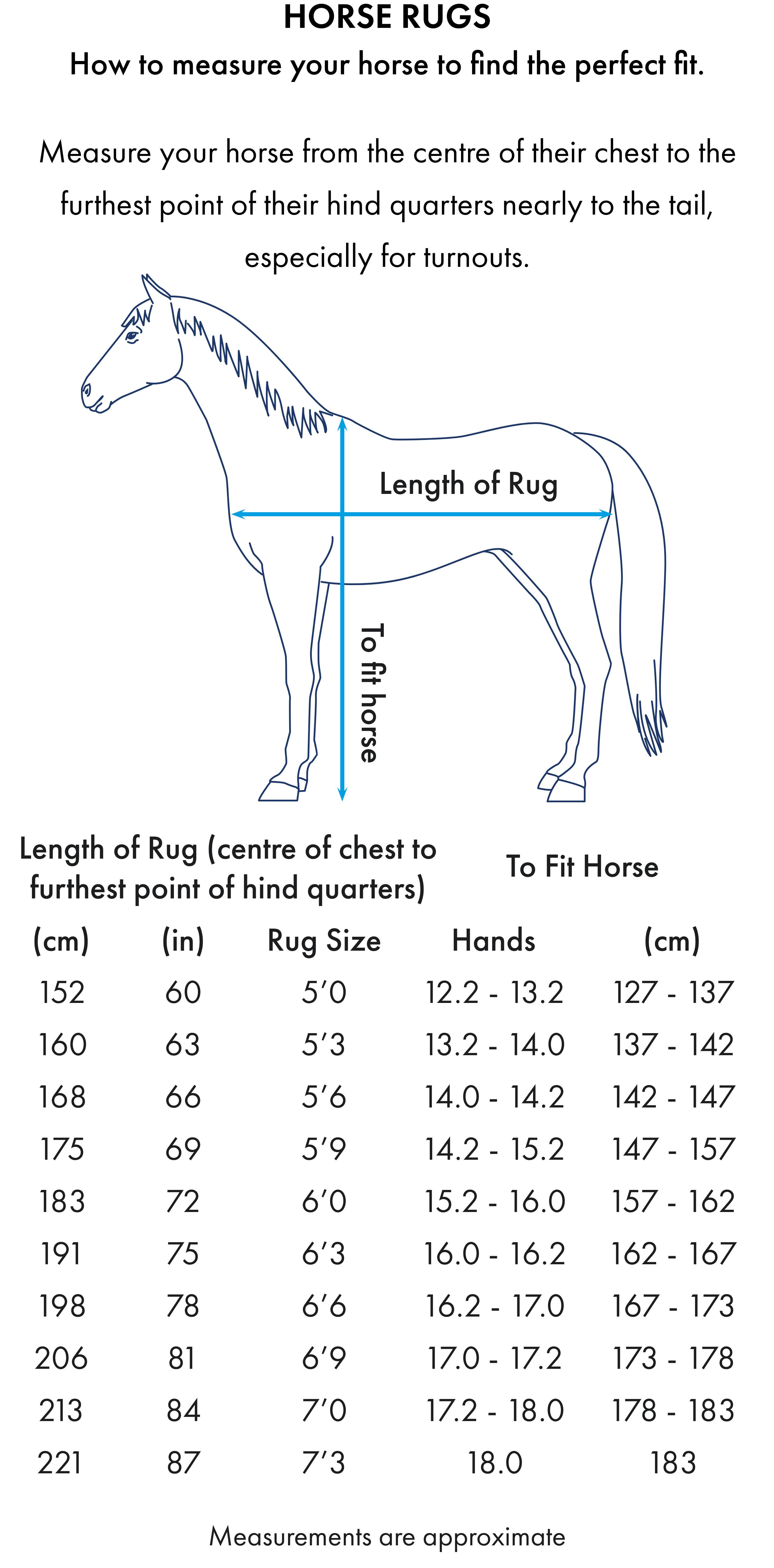 Paardenloopdeken Premier Equine 100 g 6/6