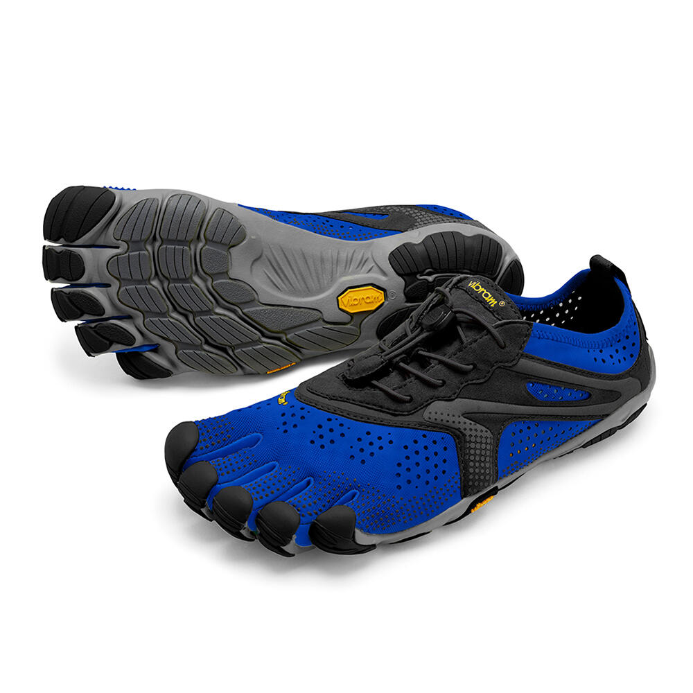 blue / black