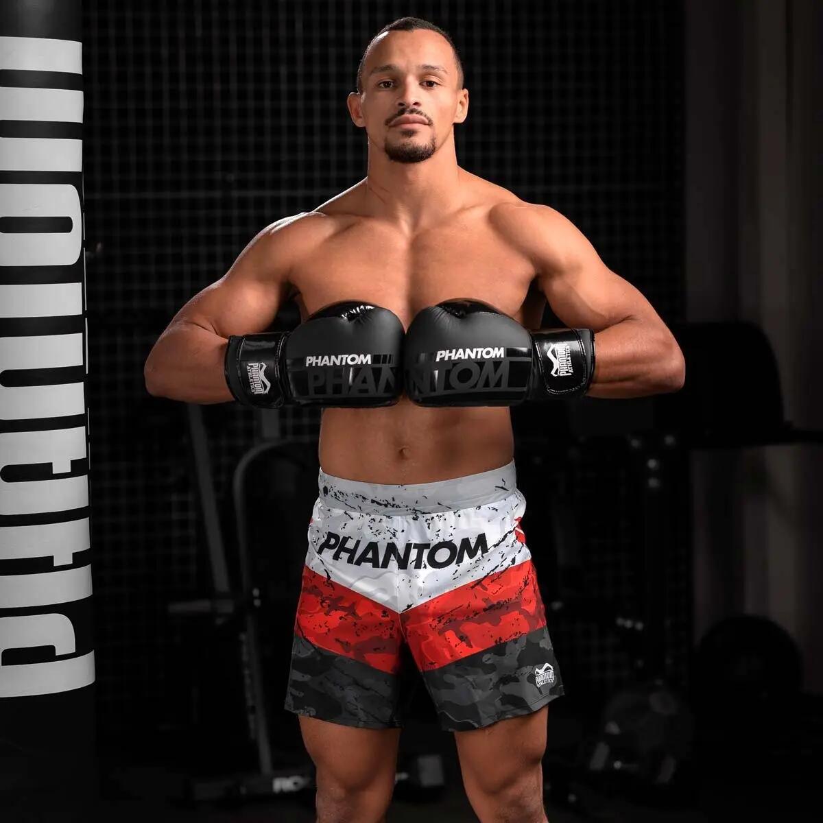 Boxing gloves APEX Speed 5/5