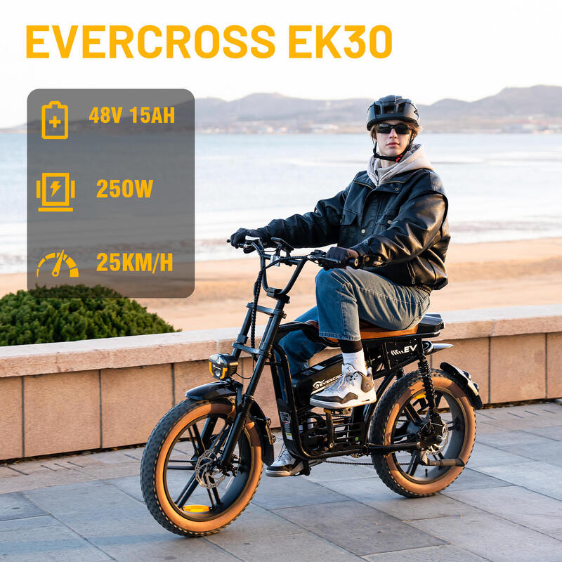 Bicicletta elettrica Pneumatici grandi 20*4.0 EVERCROSS - EK30