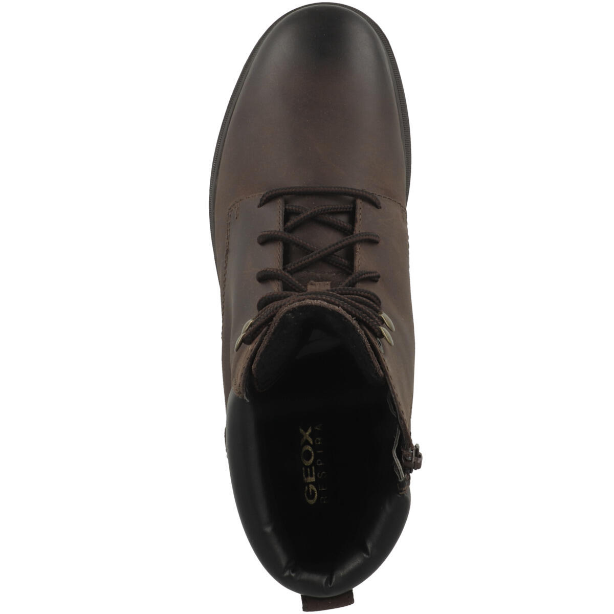 Bottines Geox Andalo C 2/6