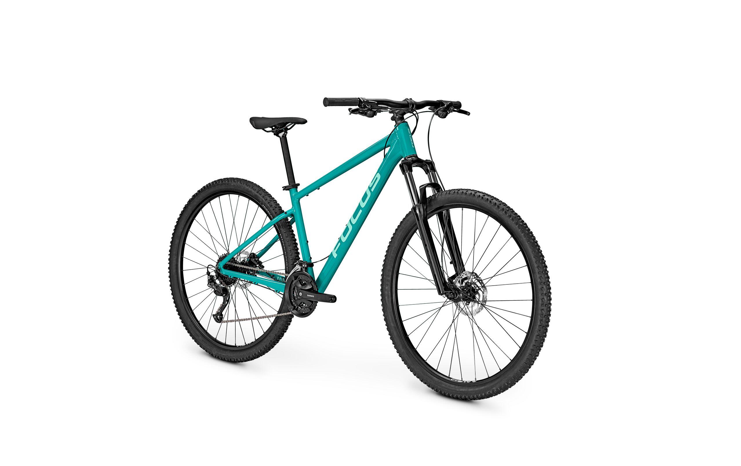 Bicicletta MTB Focus Whistler 3.6 - Verde/Blu 2/4