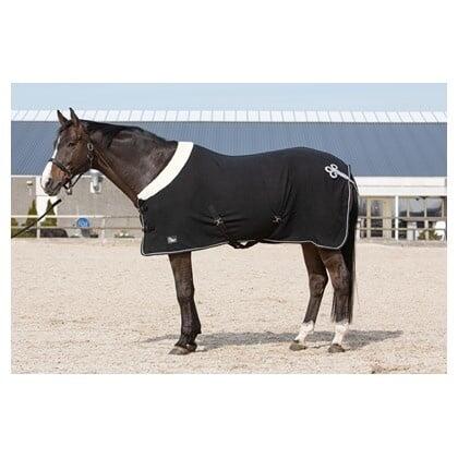 Trocknende Fleecedecke für Pferde Harry's Horse Champion 2/3