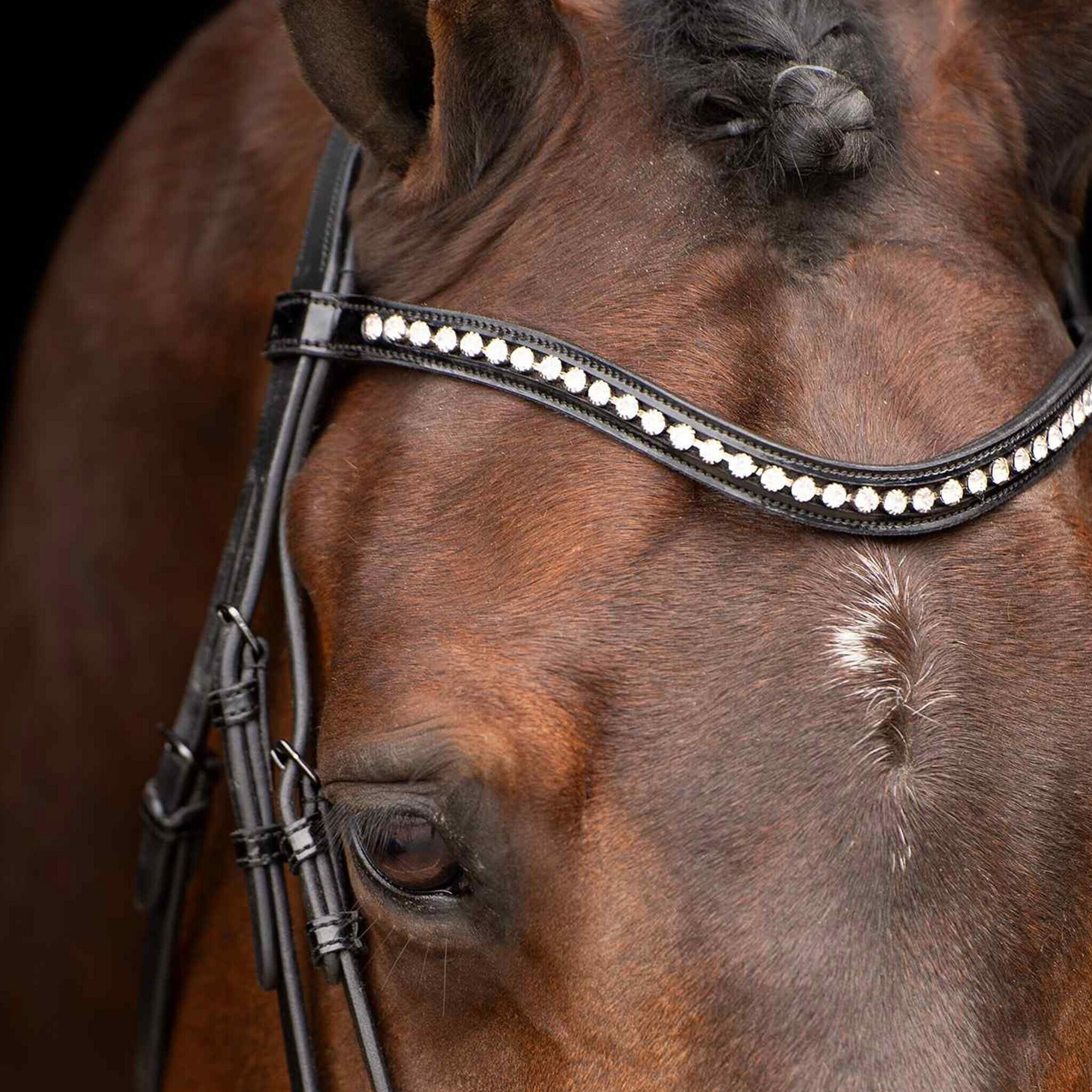 Bride d'équitation impériale Athena 3/3