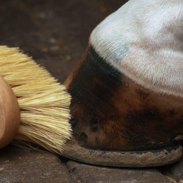 Brosse à sabots Imperial Riding - Naturelle 3/3