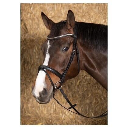 Harry's Horse Hoofdstel Nero Soft (Cob) 2/3