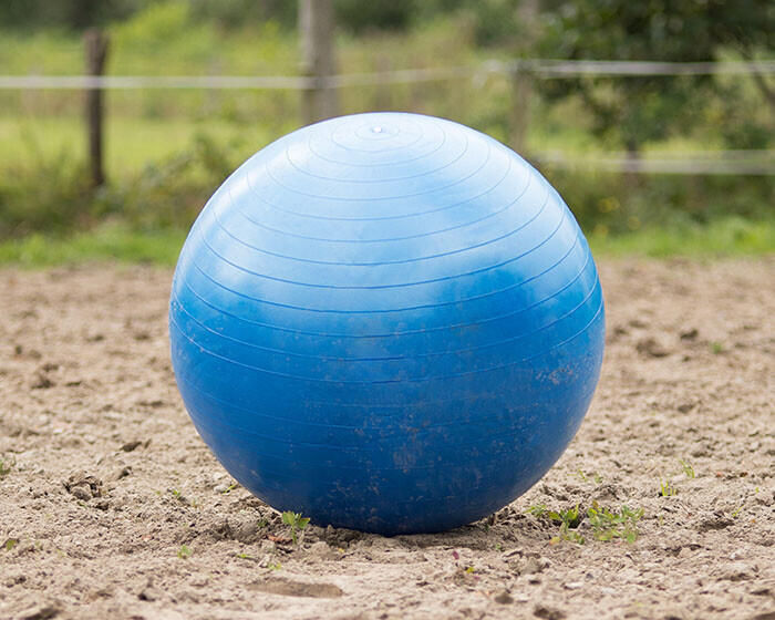 Ballon de football cheval QHP - Bleu 3/3