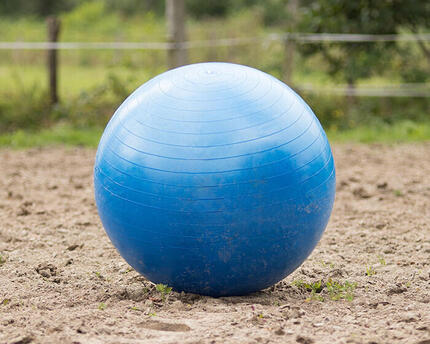Ballon de football cheval QHP - Bleu