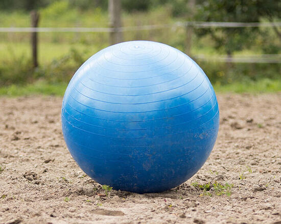 Ballon de football cheval QHP - Bleu