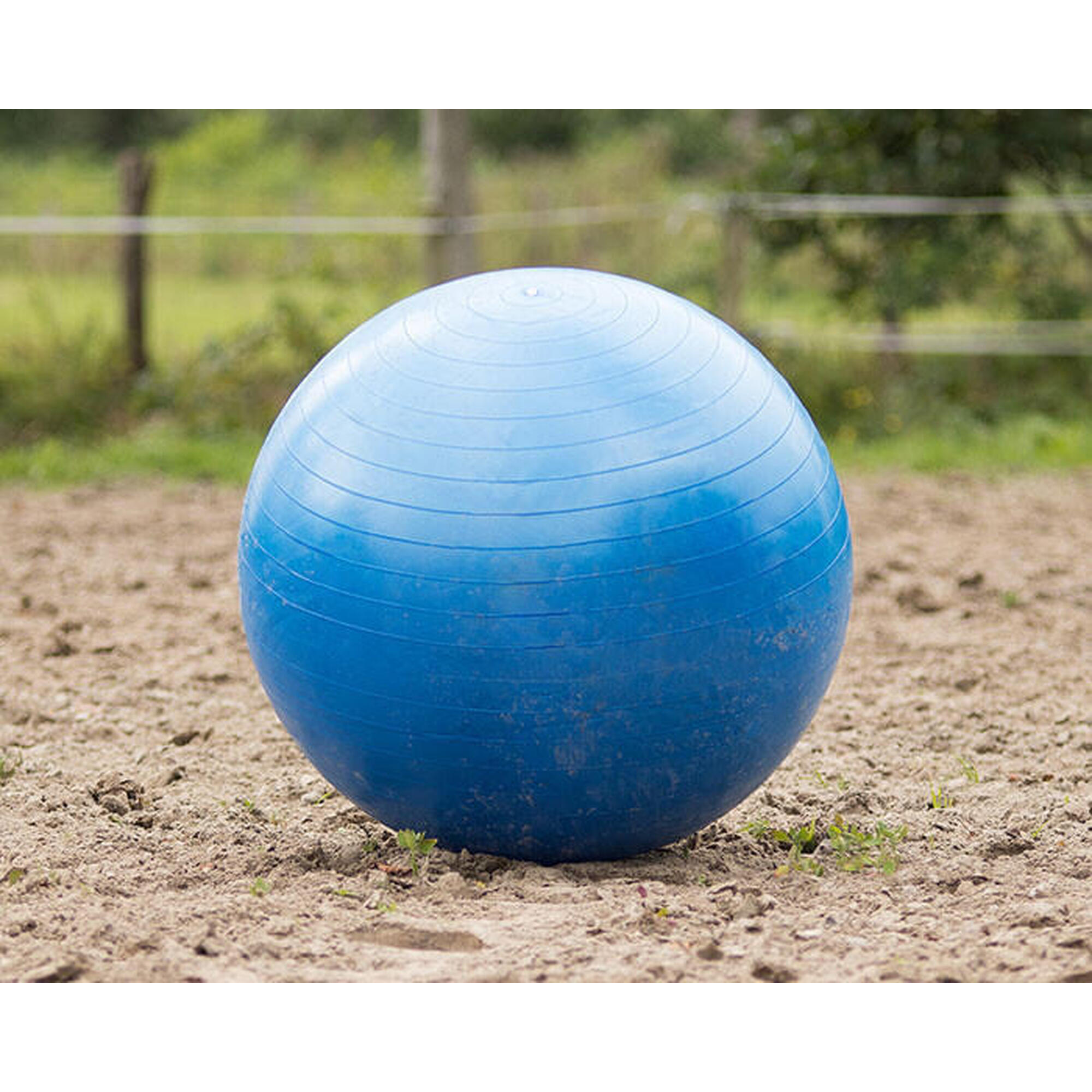 Ballon de football cheval QHP - Bleu