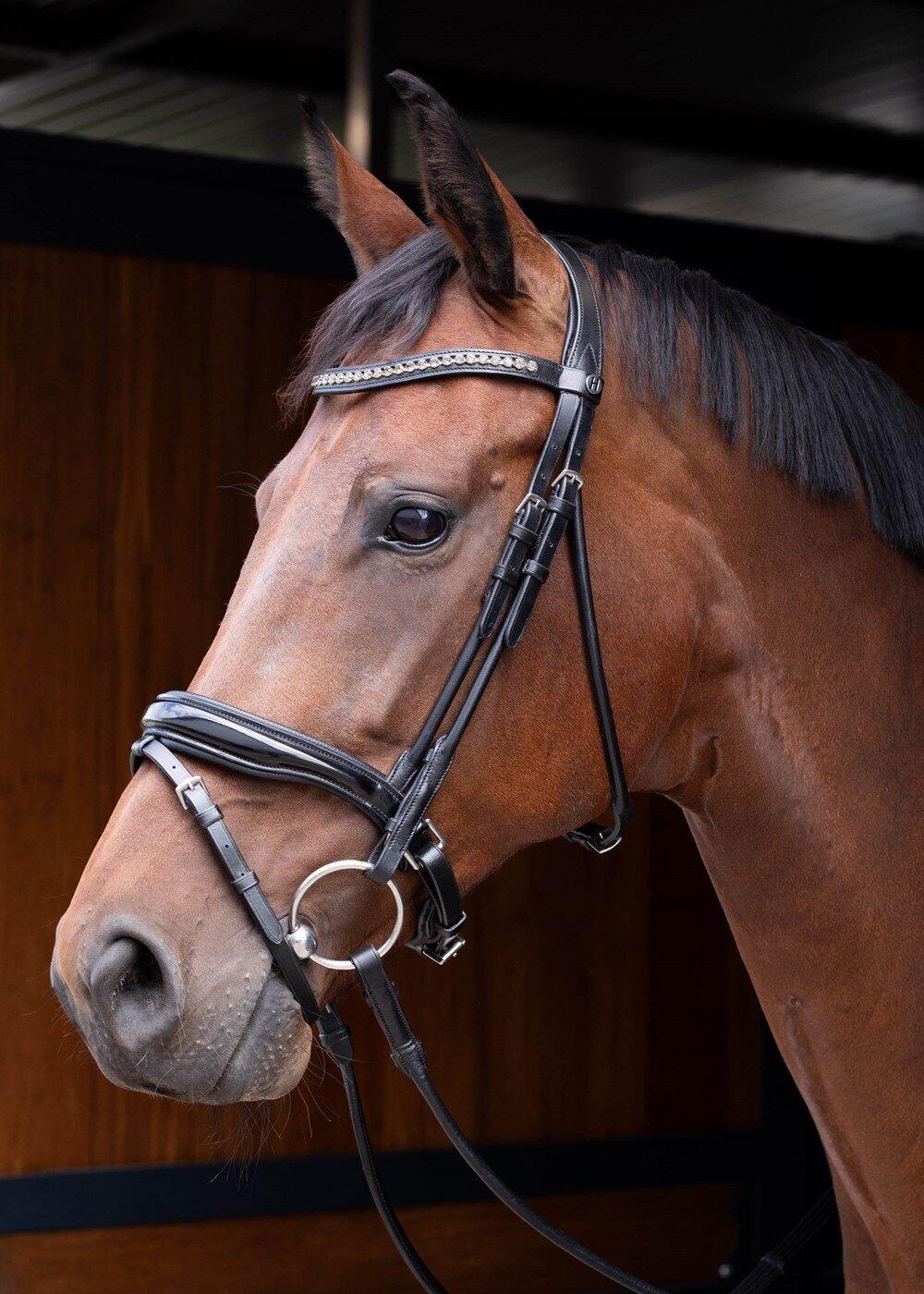 HARRYS HORSE Harry's Horse Hoofdstel Rondgenaaid Lacque (Pony)