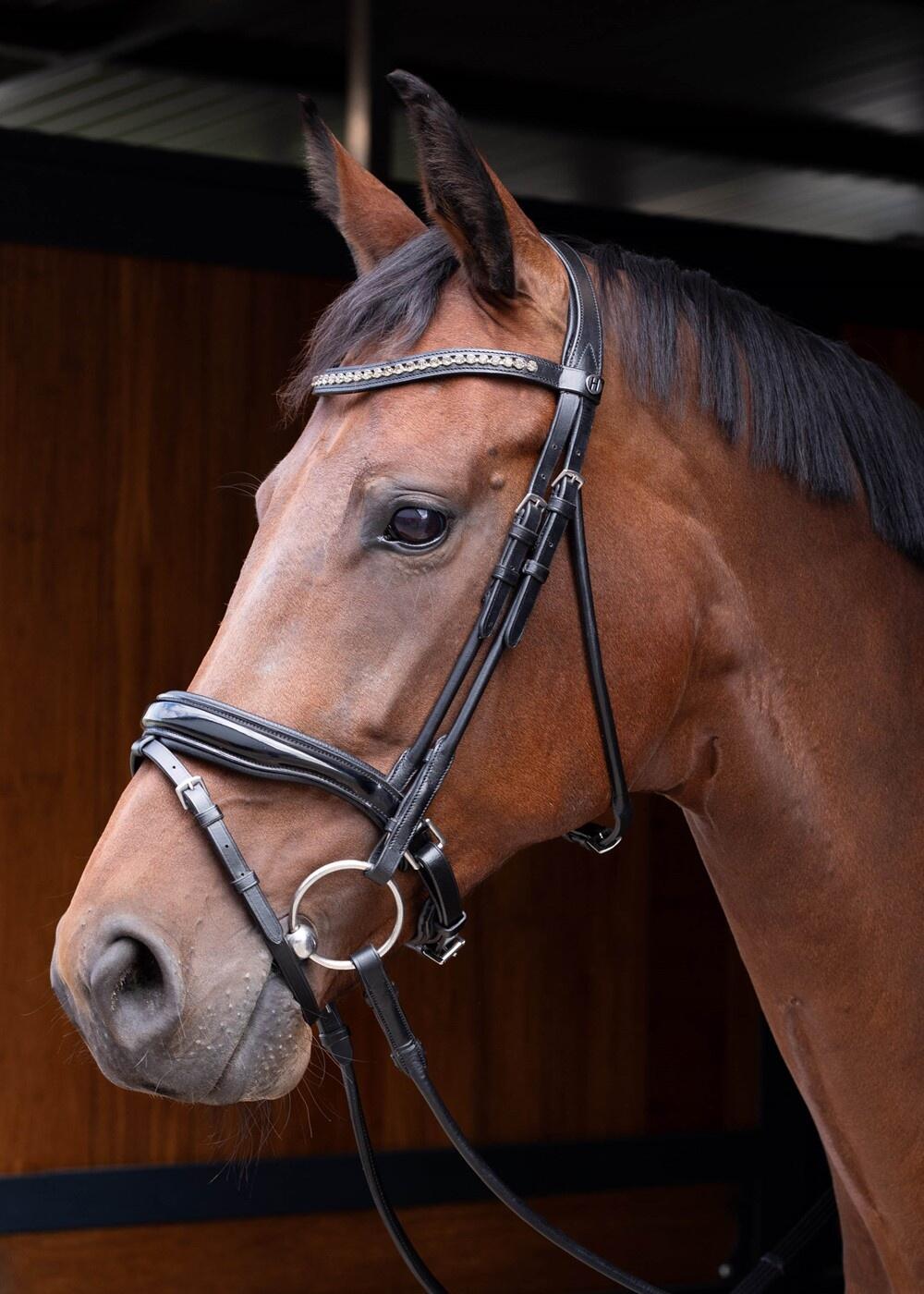HARRYS HORSE picture