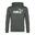 PUMA Essentials Big Logo Hoodie FL Sudadera Hombre