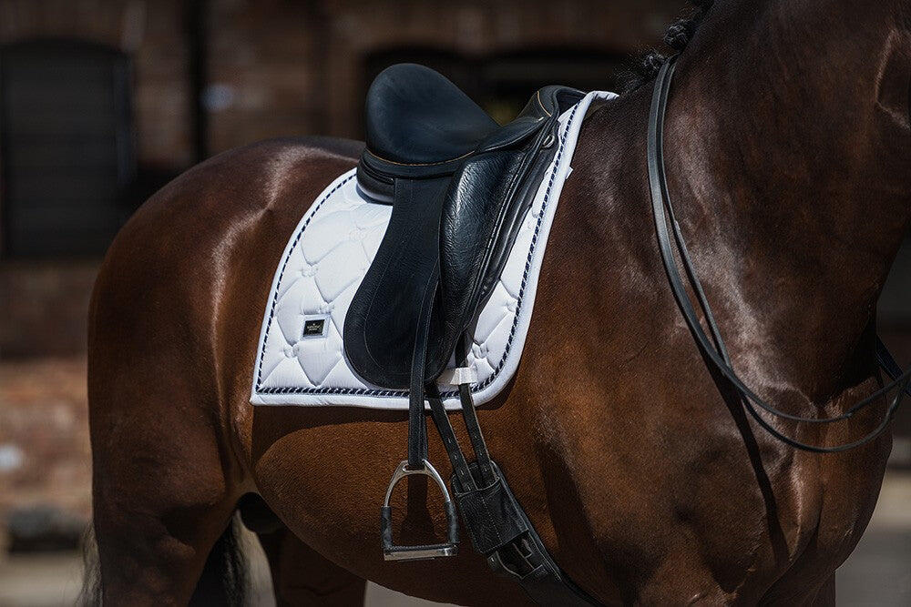 EQUESTRIAN STOCKHOLM picture