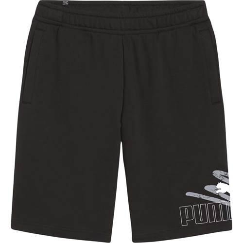 PUMA picture