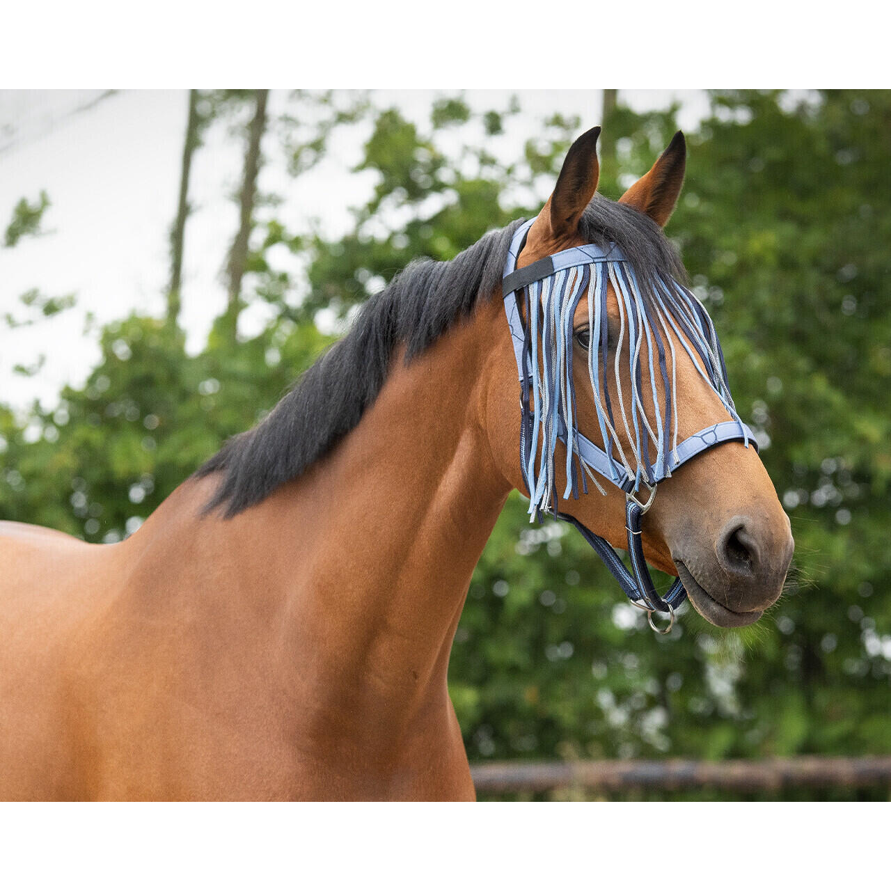 Maschera antimosche equitazione QHP Collection 2/2