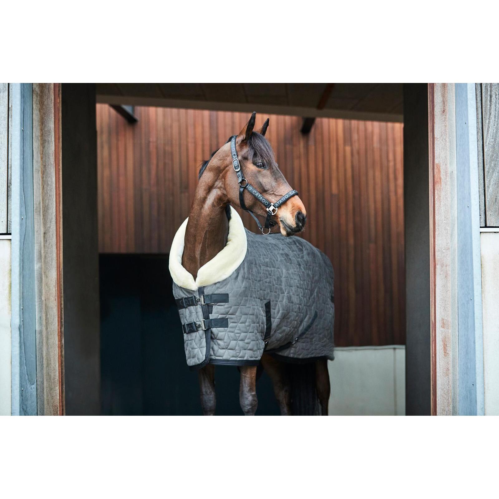 Licol pour poney Catago Alea reflective logo 2/4