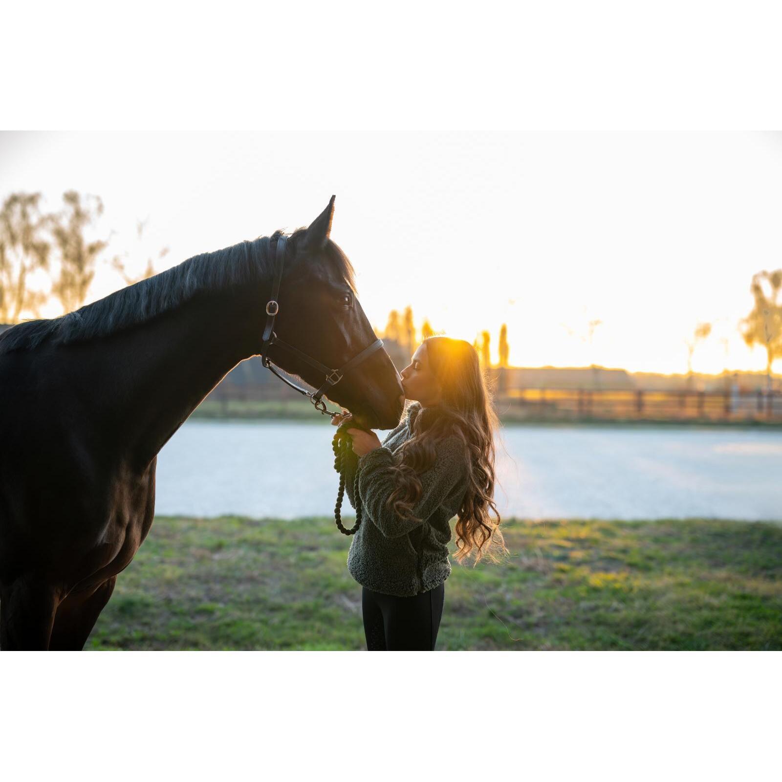 Cavezza in cuoio per pony HorseGuard Sabine 6/6