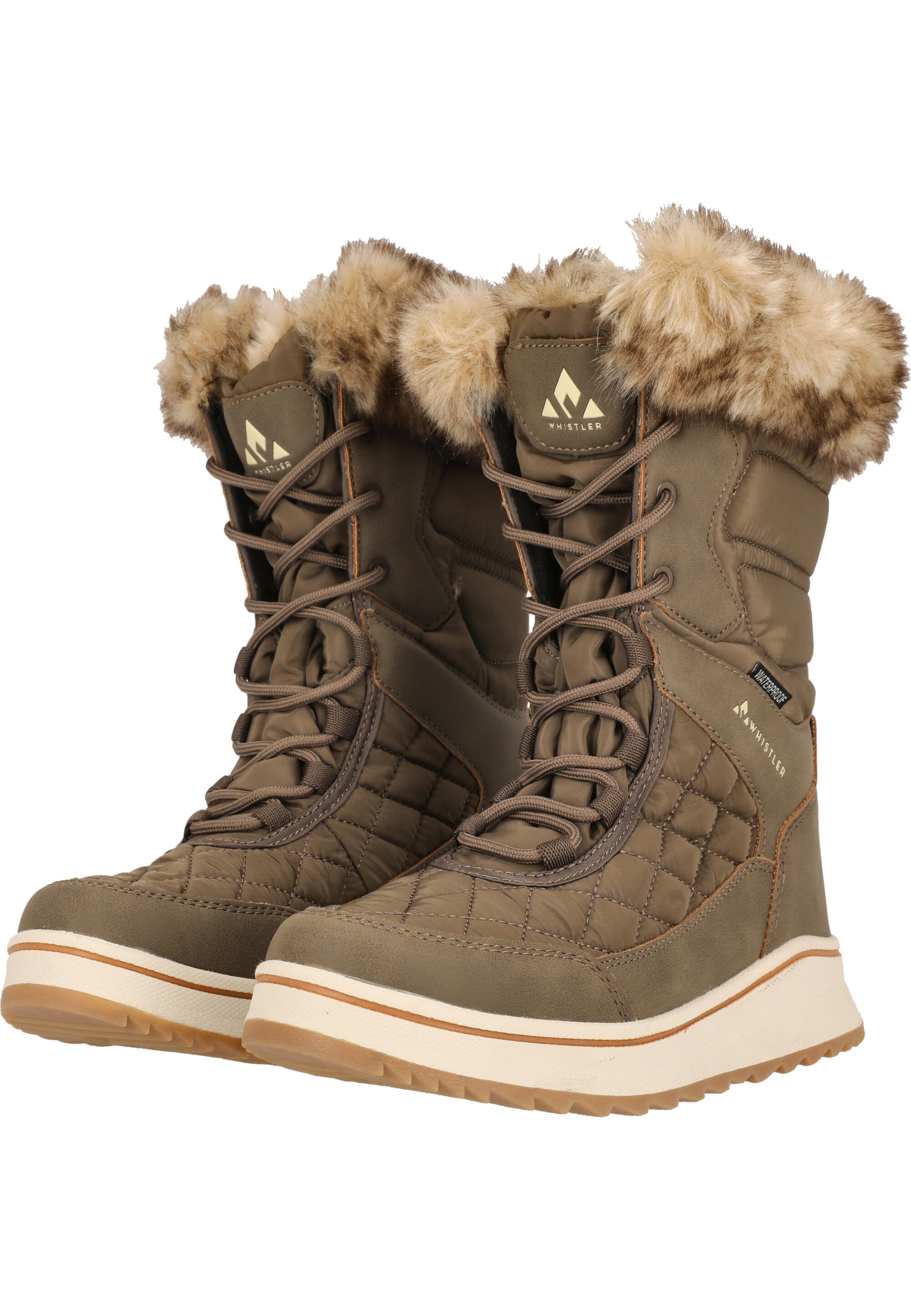 Damen Stiefeletten Whistler Eewye V2 4/5
