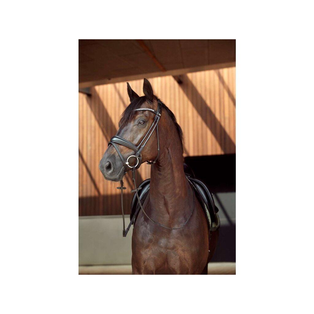 Supergrip rondgenaaide teugels HorseGuard 2/2