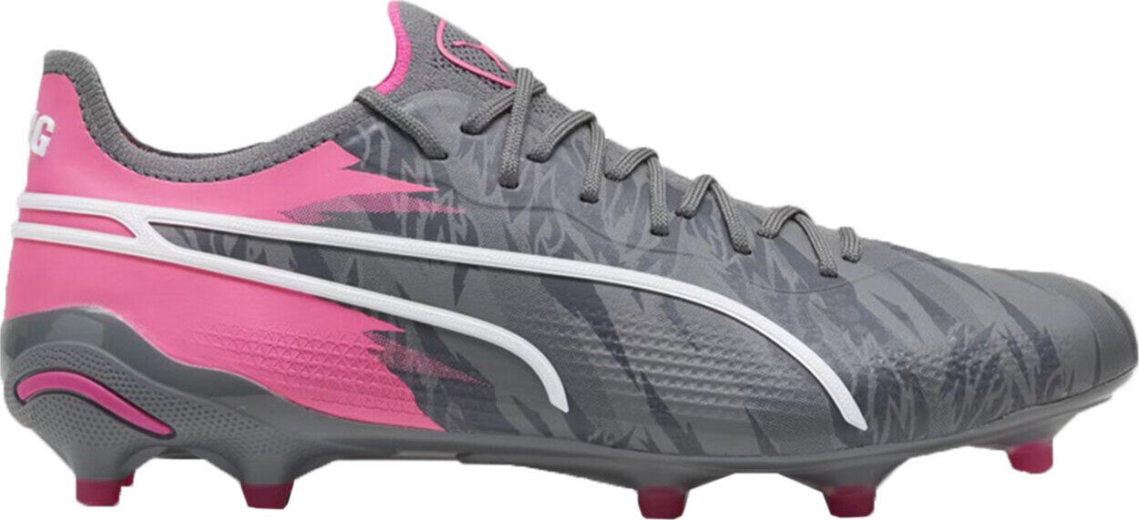 PUMA picture