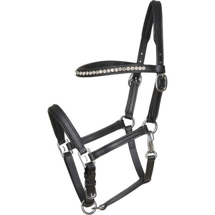 Licol pour cheval en cuir poulin HorseGuard