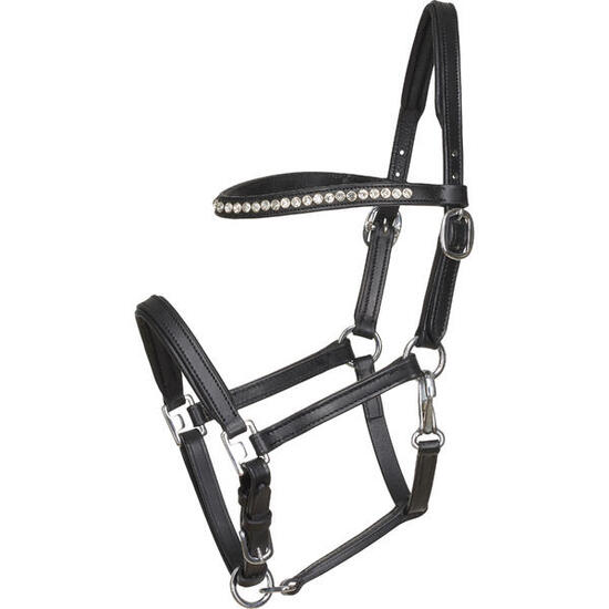 Licol pour cheval en cuir poulin HorseGuard