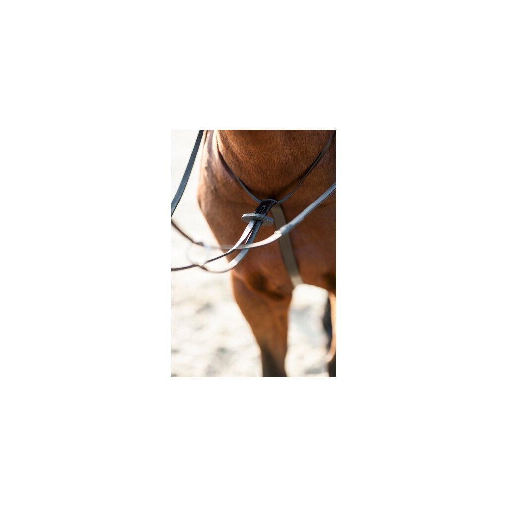 Martingale voor paarden HorseGuard 2/2