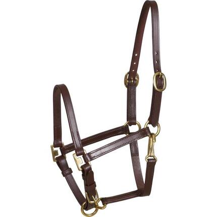 Licol pour cheval HorseGuard