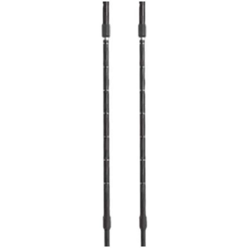 Trekking Stick Alpine