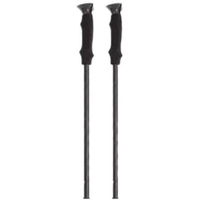 Trekking stick alpine