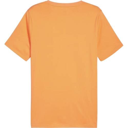 T-shirt universel hommes Puma Esentail 2/4