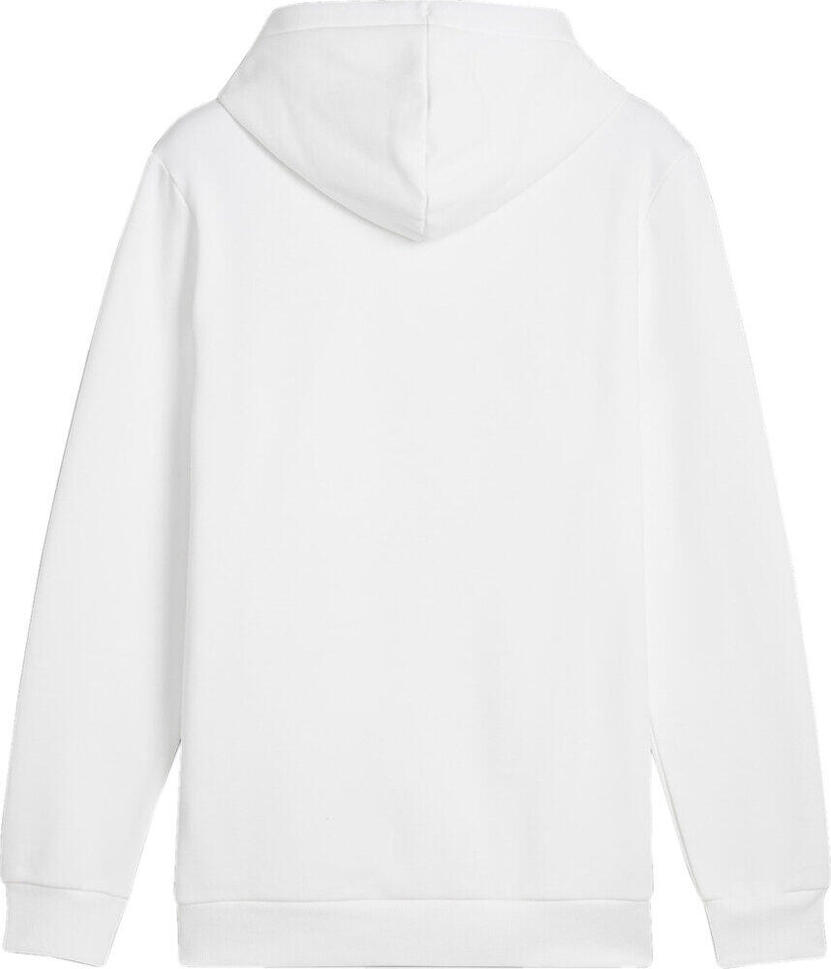 Bluza sportowa męska Puma Ess Logo LAB Gradient Hoodie FL
