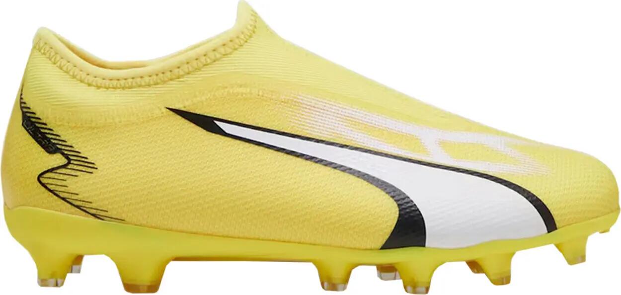 PUMA picture